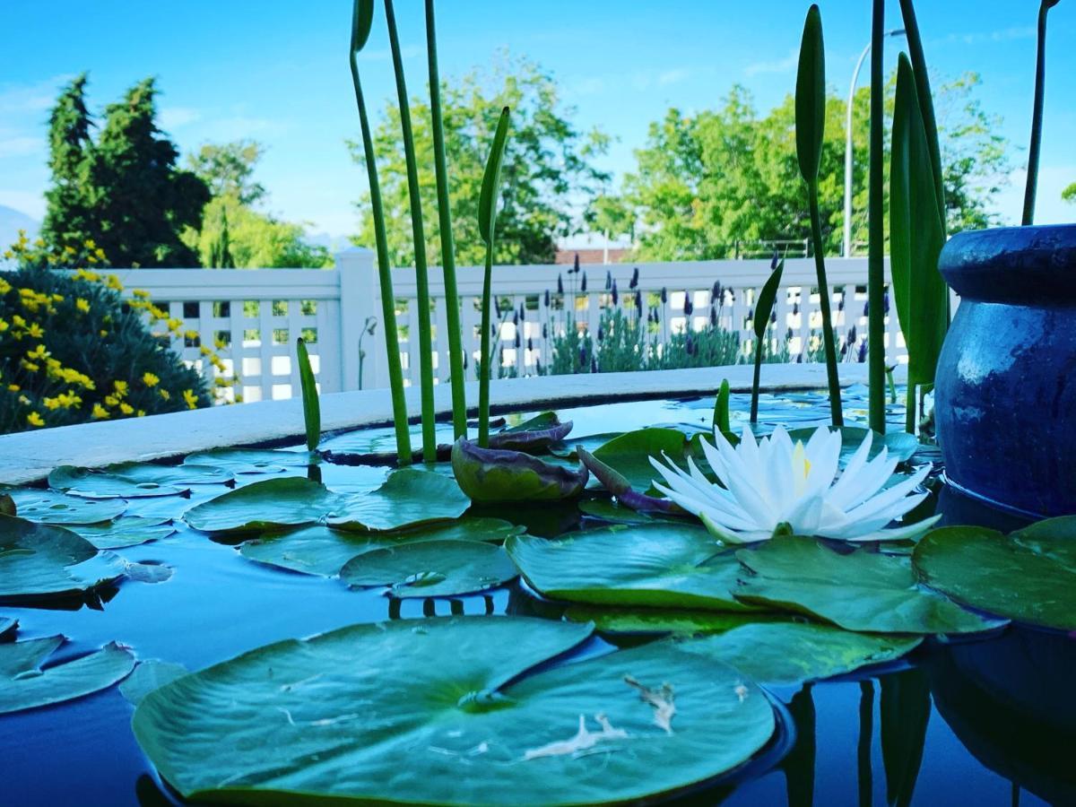 Waterstone Lodge Somerset West Dış mekan fotoğraf